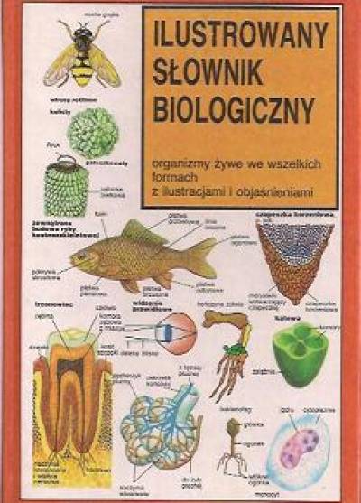 Neil Curtis - Ilustrowany słownik biologiczny
