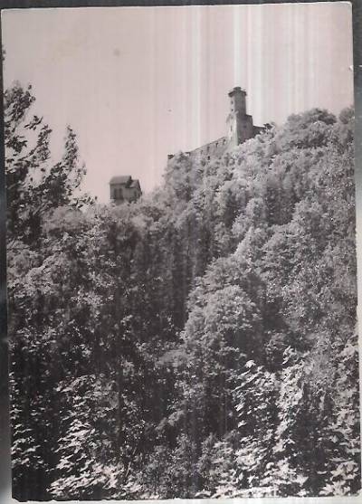 fot. J. Osuchowski - ZAgórze Śląskie - widok na zamek (1961)