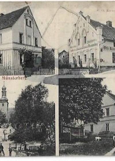 Gruss aus Frohmsdorf Kr. Munsterberg (1913)