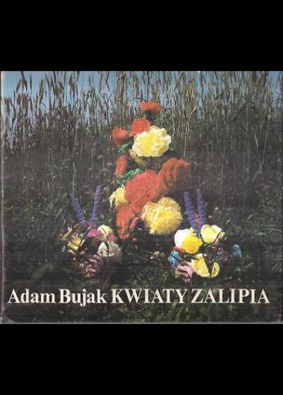 Adam Bujak - Kwiaty Zalipia (album fot.)
