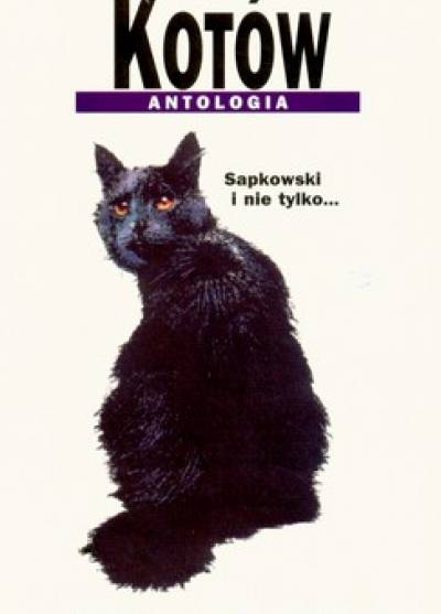 Sapkowski, Dukaj, Lewandowski, Białołęcka, Dębski, Wolski i in. - Trzynaście kotów. Antologia