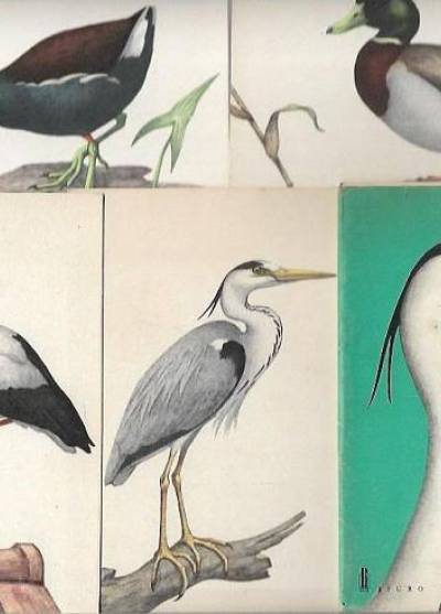 graf. J. Desselberger - Ptaki wodne - komplet 9 pocztówek w obwolucie (1965)