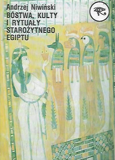 Andrzej Niwiński - Bóstwa, kulty i rytuały starożytnego Egiptu