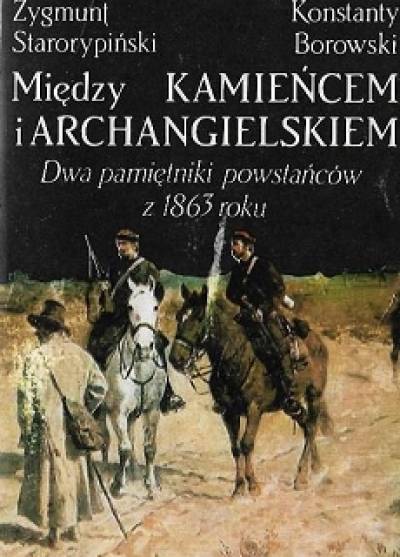 Zygmunt Starorypiński, Konstanty Borowski - Między Kamieńcem i Archangielskiem. Dwa dzienniki powstańców z 1863 roku