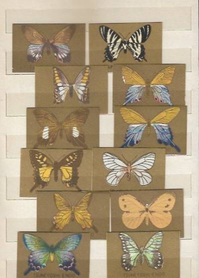 Złota seria motyli - 12 azjatyckich etykiet