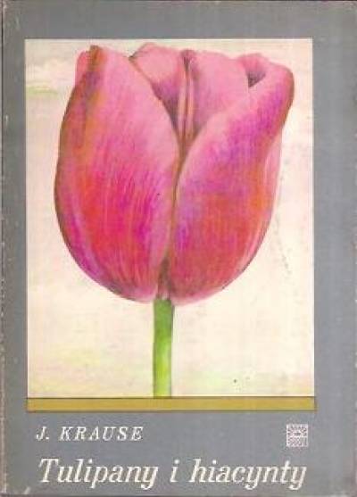 Joanna Krause - Tulipany i hiacynty