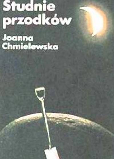 Joanna Chmielewska - Studnie przodków