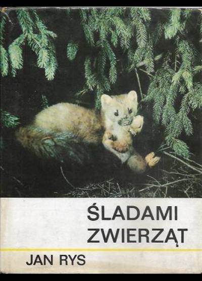 Jan Rys - Śladami zwierząt (album fot.)