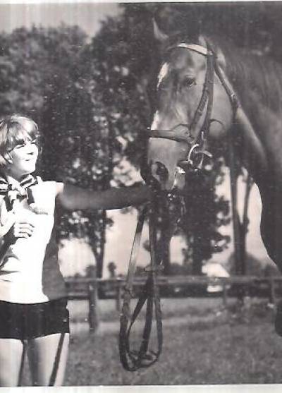 fot. J. Siudecki - Ochaby - stadnina koni Pruchna. Brokat - koń rasy angloarabskiej (1970)