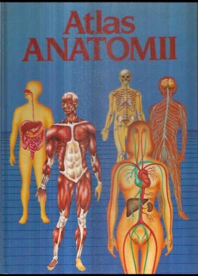 E. de Bernabe Ortega - Atlas anatomii