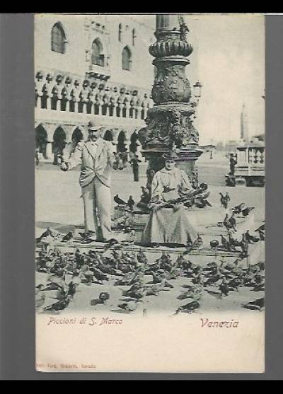 Venezia. Piccioni di S. Marco (przed 1914)