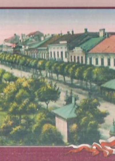 Rynek w Samborze, pocz. XX wieku