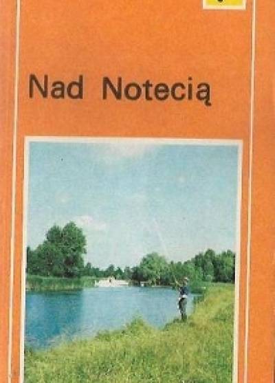 Janusz Umiński - Nad Notecią. Szlaki turystyczne