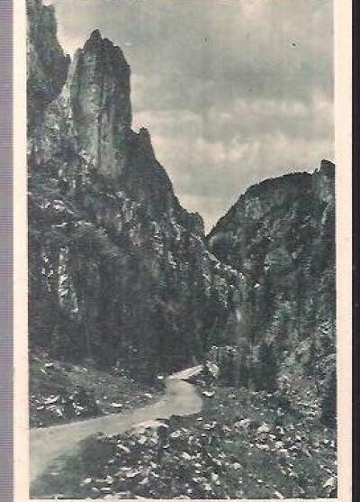 Tatry. Dolina Kościeliska (1950)