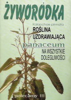 opr. I. Nowakowska - Żyworódka (kalanchoe pinnata) - roślina uzdrawiająca. Panaceum na wszystkie golegliwości opr. I. Nowakowska - Żyworódka (kalanchoe pinnata) - roślina uzdrawiająca. Panaceum na wszystkie golegliwości - okładka.