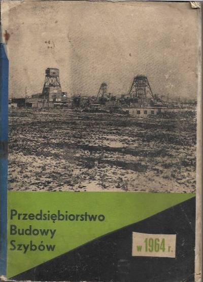 Maliszewski, Jerzykiewicz, Kowalski, Ludyga, Pudełko - Przedsiębiorstwo Budowy Szybów w 1964 r. Analiza działalności gospodarczej