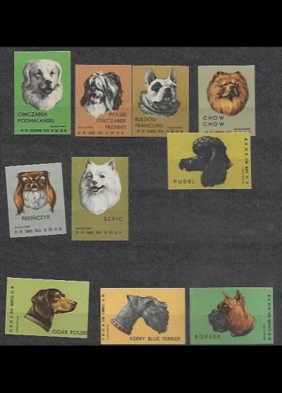 rasy psów - seria 10 etykiet, 1966