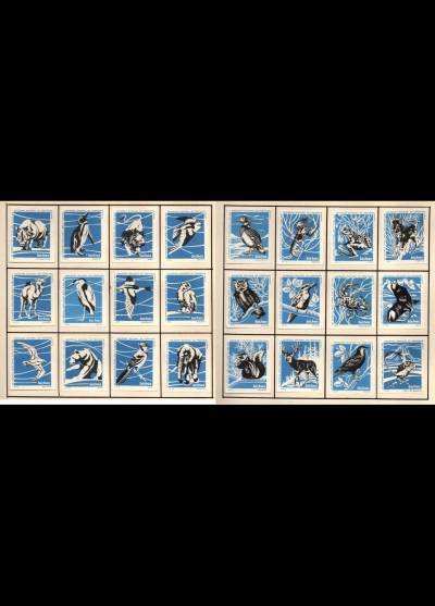 ptaki i zwierzęta - 24 portugalskie etykiety, wersja niebieska