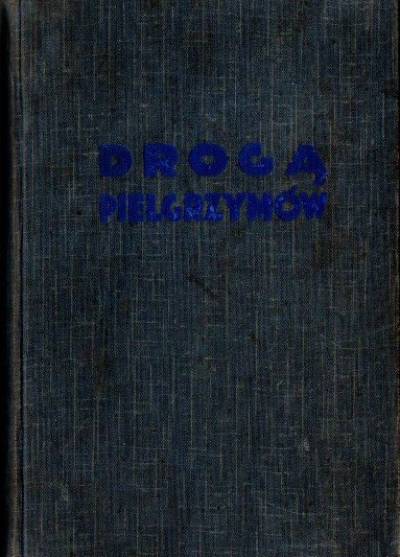 ks. Ignacy Posadzy - Droga pielgrzymów. Wrażenia z objazdu kolonij polskich w Południowej Ameryce