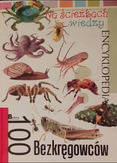 100 Bezkręgowców. Encyklopedia Na ścieżkach wiedzy