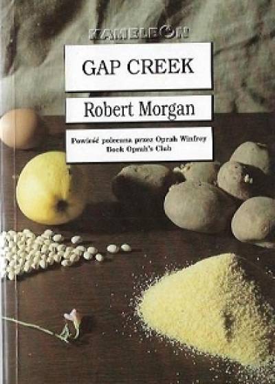 Robert Morgan - Gap Creek