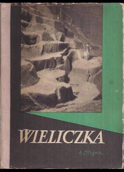 Alfons Długosz - Wieliczka. Magnum sal jako zabytek kultury materialnej