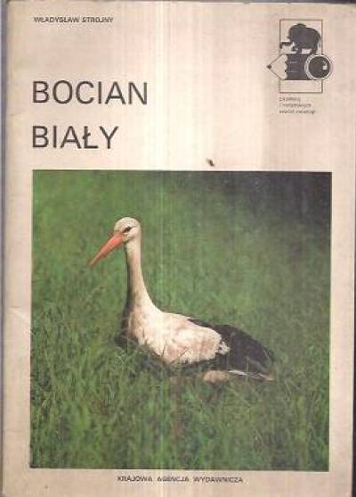 Władysław strojny - Bocian biały