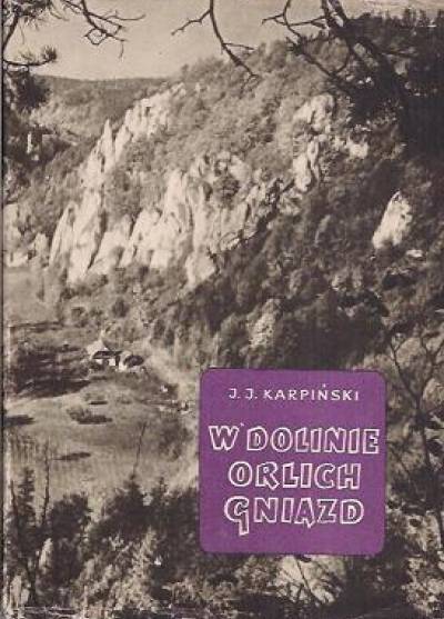 J.J. Karpiński - W Dolinie Orlich Gniazd