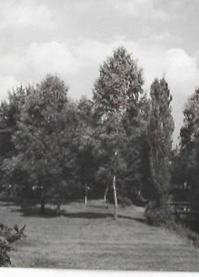 fot. K. Jabłoński - Wieleń  - park miejski (1969)