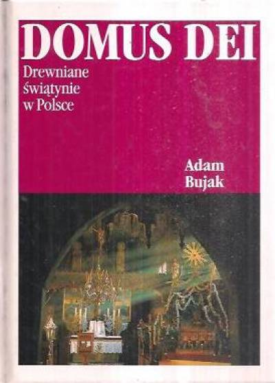 A. Bujak (fot.), A. Szczucka (tekst) - Domus Dei. Drewniane świątynie w Polsce (albumik fot.)