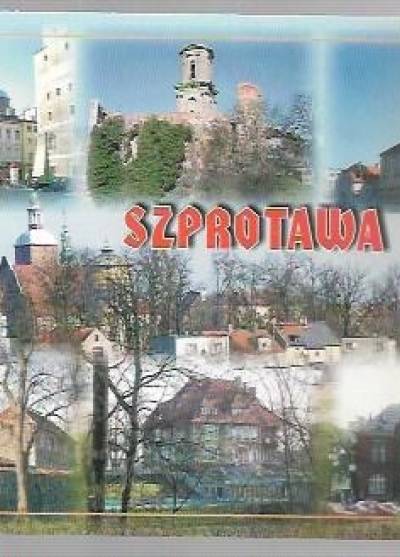 fot. J. Sosnowski) - Szprotawa (mozaika)