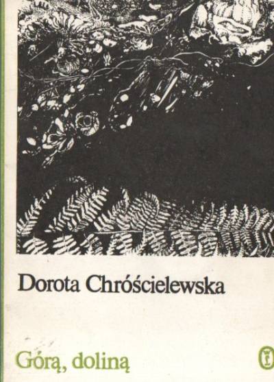 Barbara Chróścielerwska - Górą, doliną