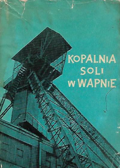 red. S. Kopeć - Kopalnia soli w Wapnie. Rys historyczny