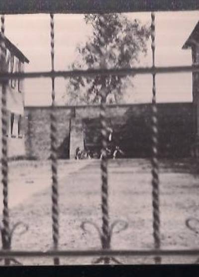 fot. J. Jastrzębski - Oświęcim. Dawny obóz koncentracyjny. Mur straceń (1964)