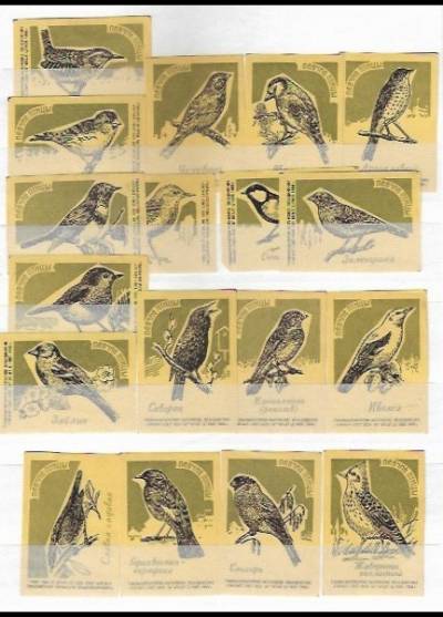 ptaki - rosyjska seria 18 etykiet, 1966