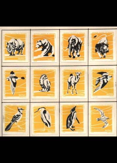 ptaki i zwierzęta - 12 portugalskich etykiet, wersja żółta