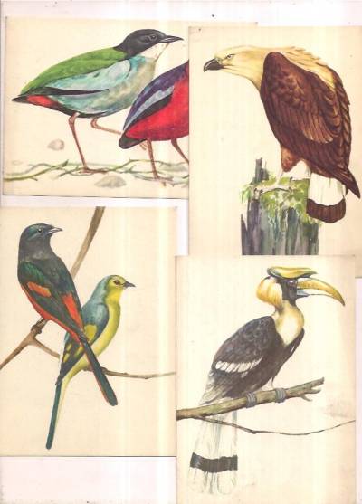 Alojzy Balcerzak - Ptaki Azji - 8 z 9 pocztówek bez obwoluty, 1965