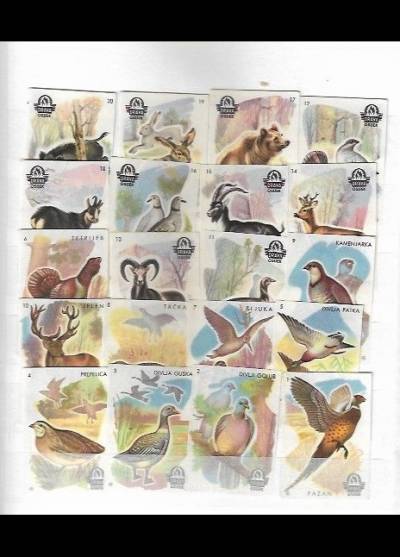 ptaki i zwierzęta - chorwacka seria 20 etykiet