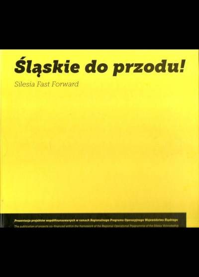 Śląskie do przodu! Prezentacja projektów w ramach Regionalnego Programu Operacyjnego ma lata 2007-2013