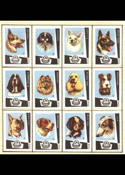 rasy psów - seria 12 chorwackich etykiet