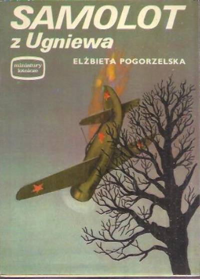 Elżbieta Pogorzelska - Samolot z Ugniewa (miniatury lotnicze)
