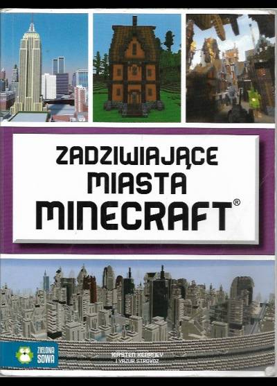 K. Hearney, Y. Storovoz - Zadziwiające miasta Minecraft
