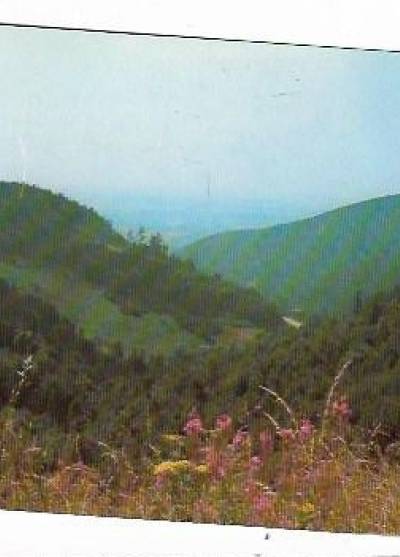 fot. M. Raczkowski - Beskid Śląski - widok z przełęczy Przegibek