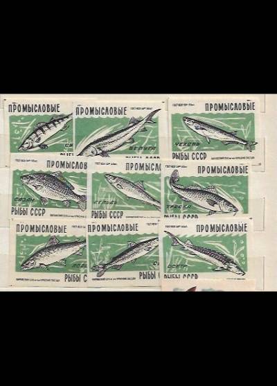 przemysłowe ryby ZSRR - seria 9 etykiet