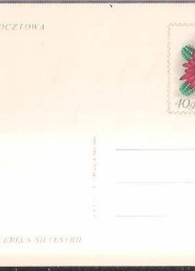 K. Tarkowska - Kaktus Chamaecereus Silvestrii (kartka pocztowa)