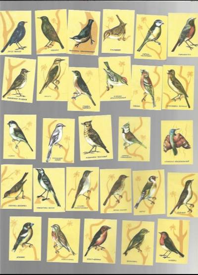 ptaki - rosyjska seria, 28 etykiet