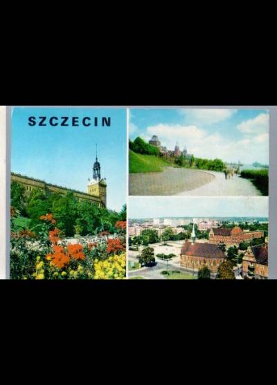 Szczecin (mozaika)