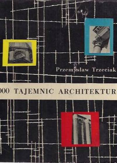 Przemysław Trzeciak - 1000 tajemnic architektury