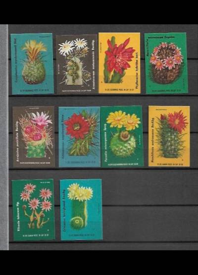 Kaktusy - seria 10 etykiet