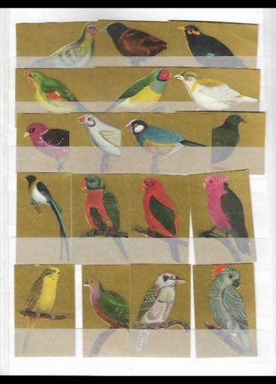 ptaki ozdobne - seria 18 etykiet na złotym tle